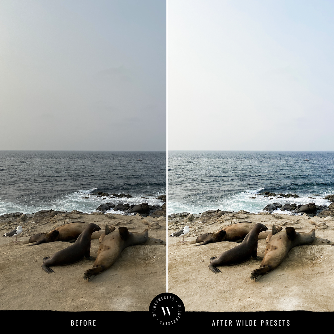 The True Tones Preset Collection