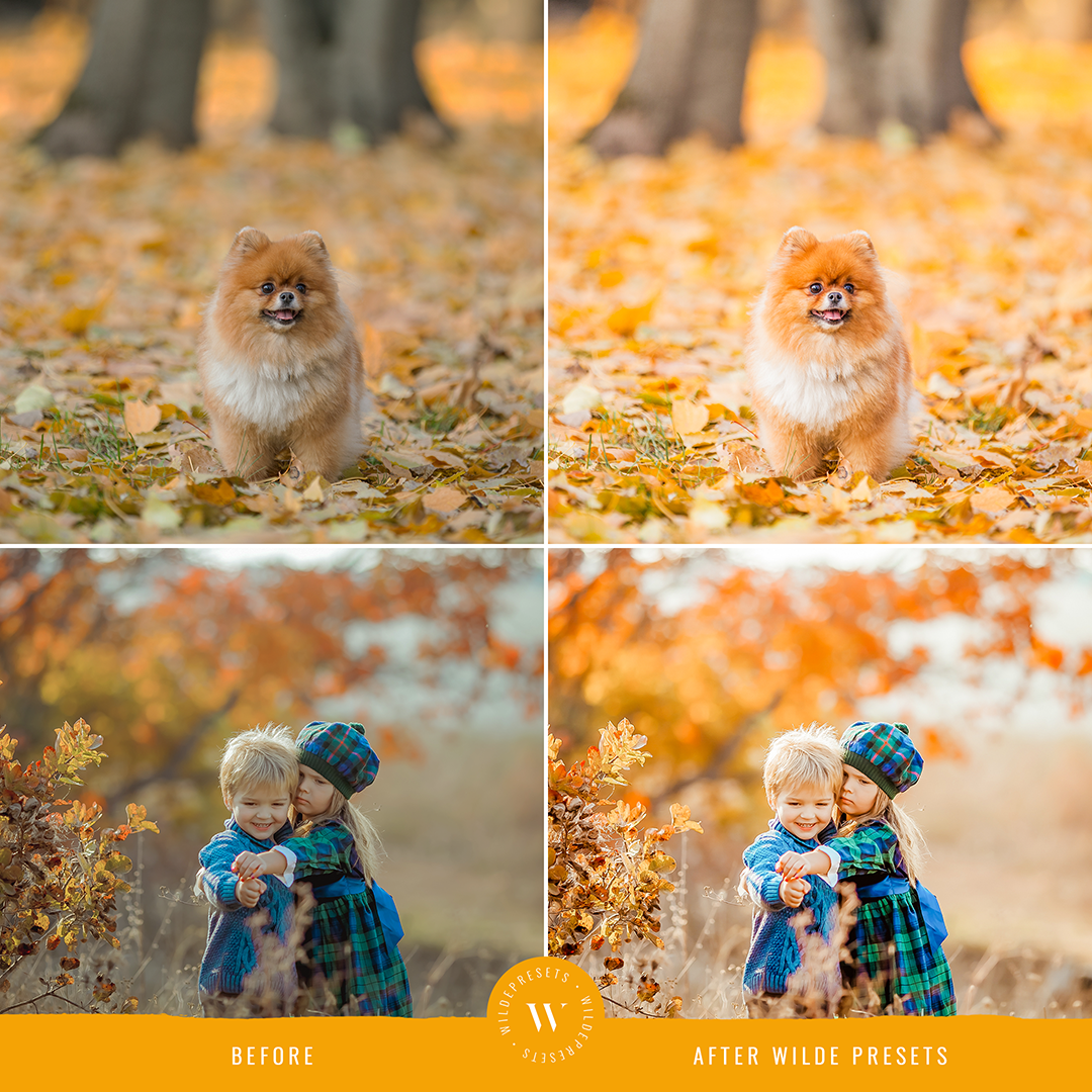 The Vibrant Fall Preset Collection
