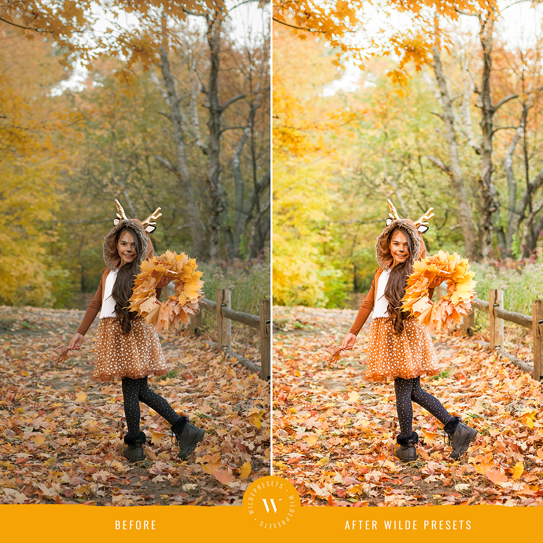 The Vibrant Fall Preset Collection
