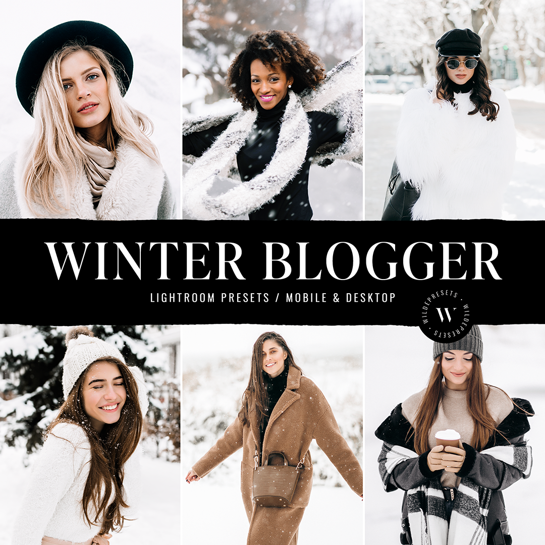 The Winter Blogger Preset Collection