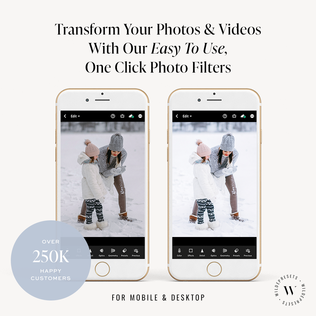 The Winter Frost Preset Collection