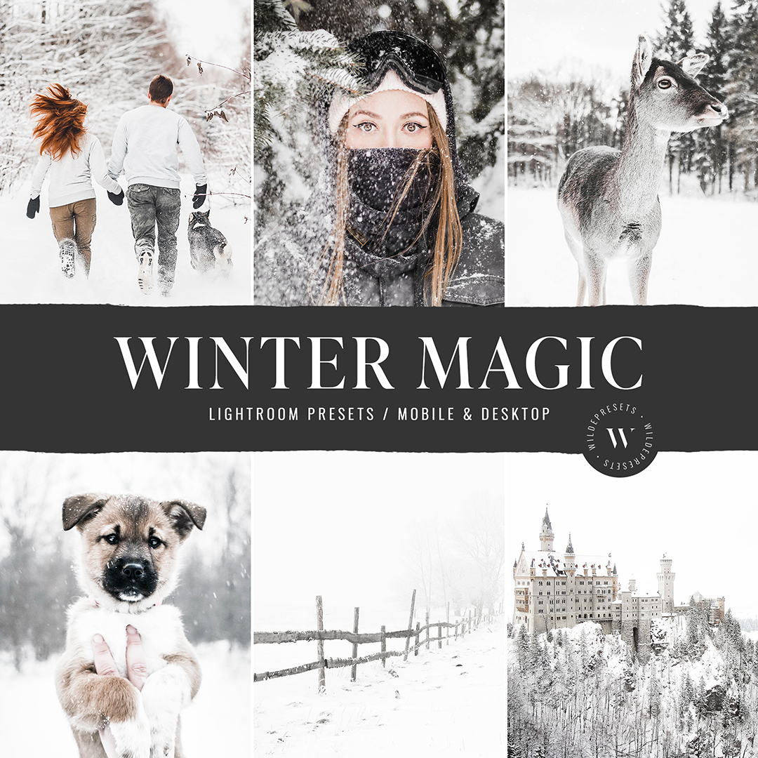 The Winter Magic Preset Collection