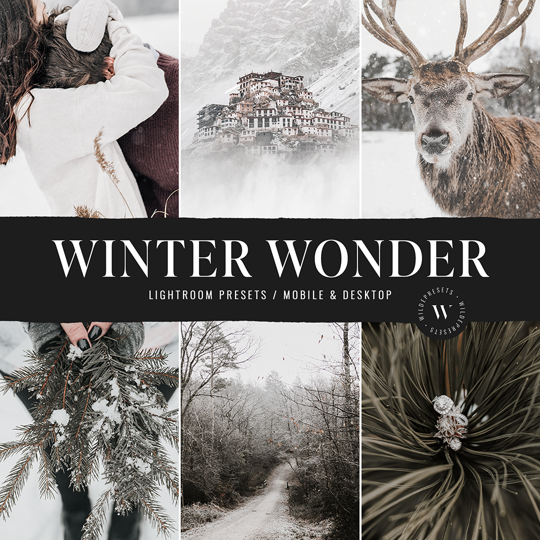 The Winter Wonder Preset Collection