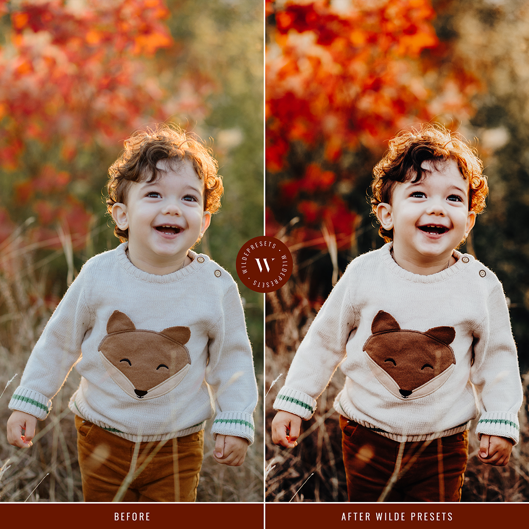 The Apple Cider Preset Collection