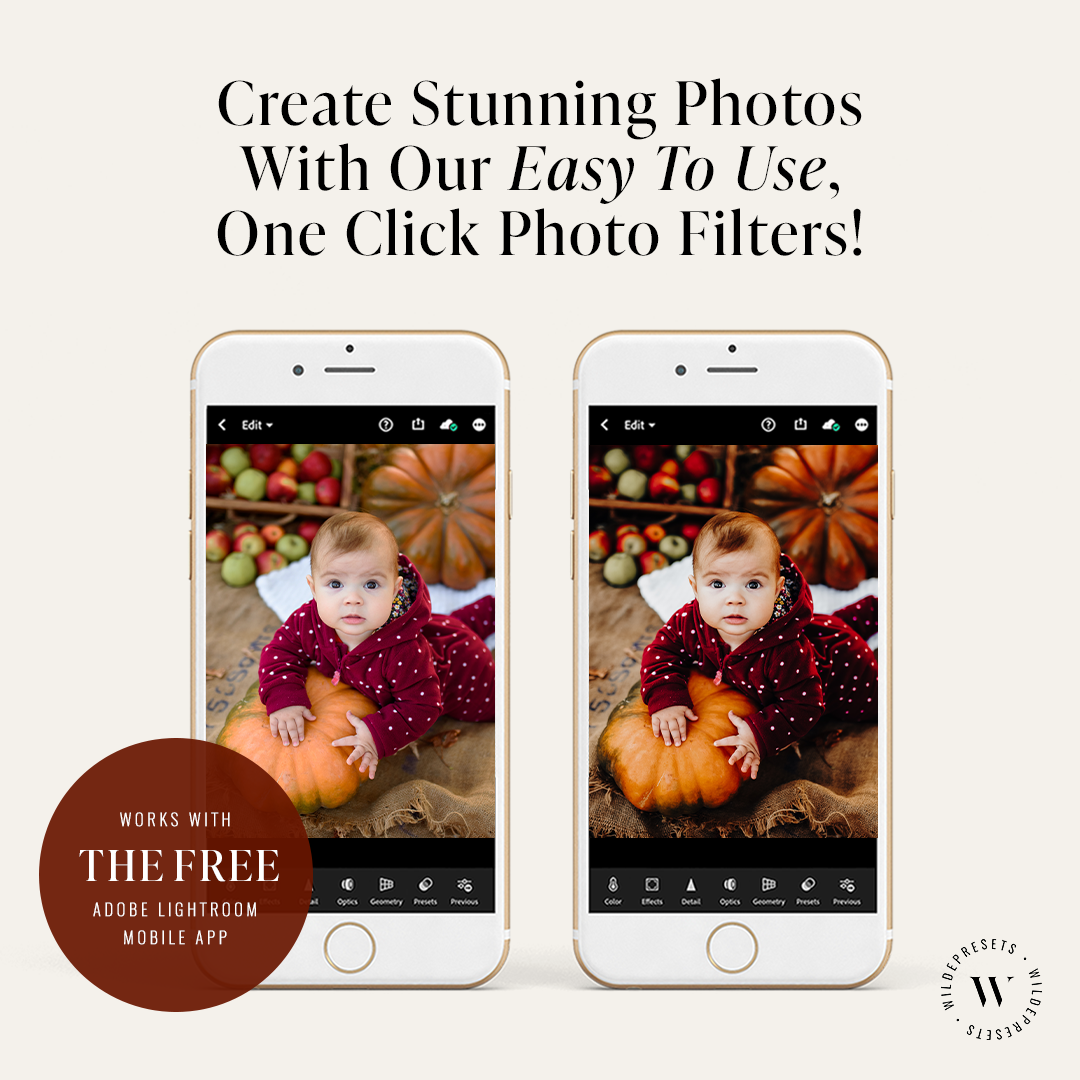 The Apple Cider Preset Collection