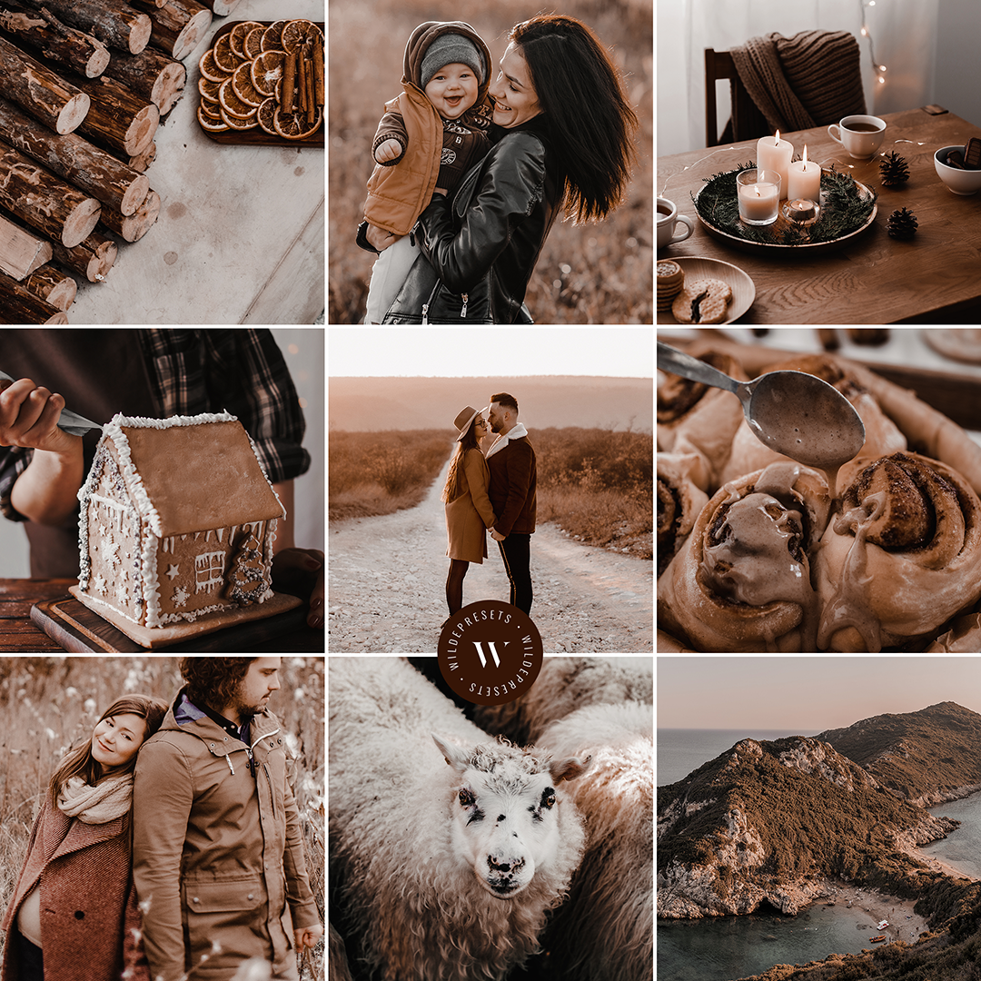 The Cinnamon Roll Preset Collection