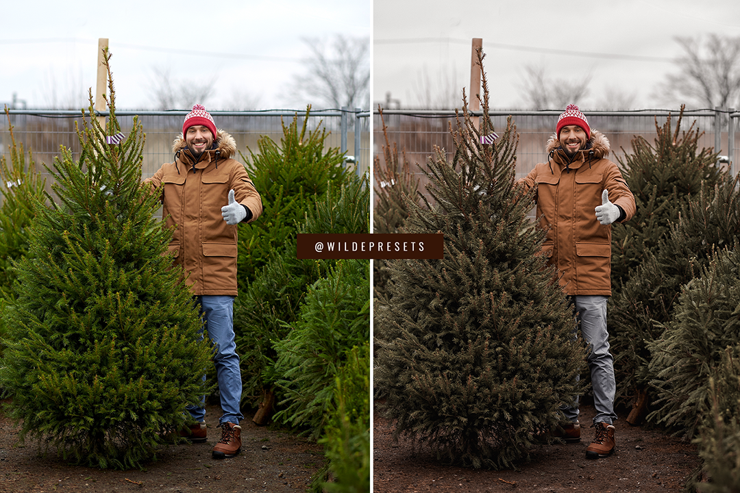 The Cinnamon Roll Preset Collection