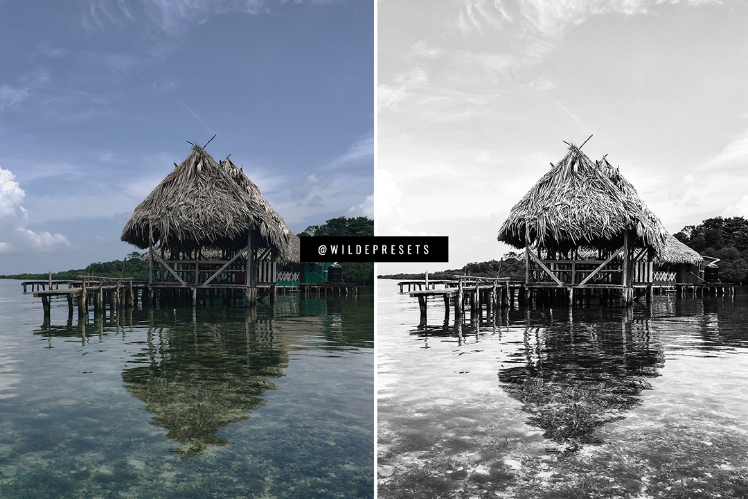 The Contrast BW Preset Collection