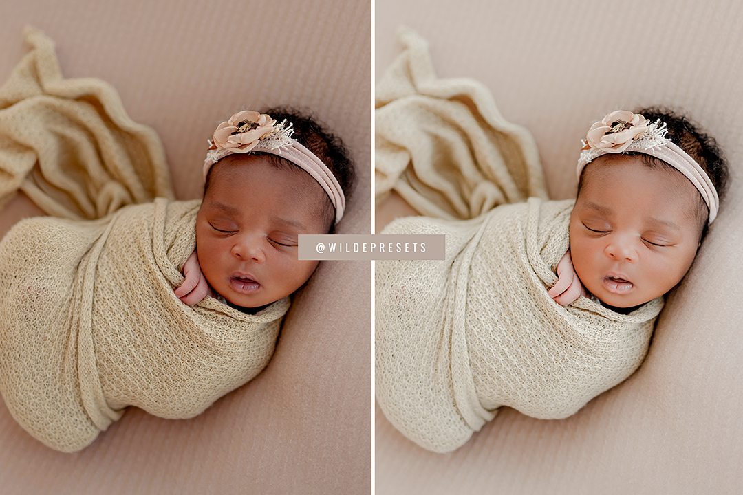 The Natural Newborn Preset Collection