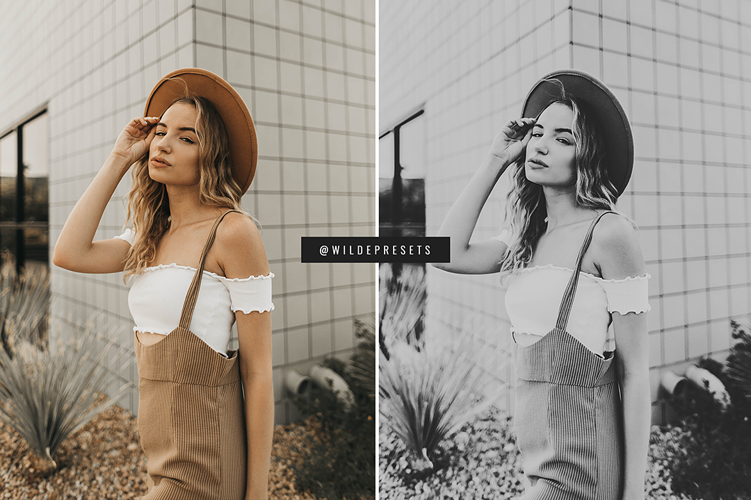 The Dreamy BW Preset Collection
