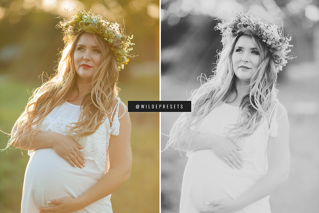 The Dreamy BW Preset Collection