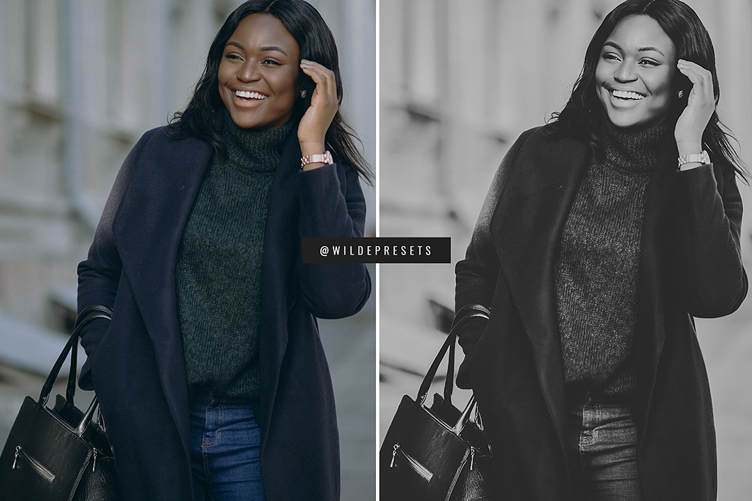 The Dreamy BW Preset Collection