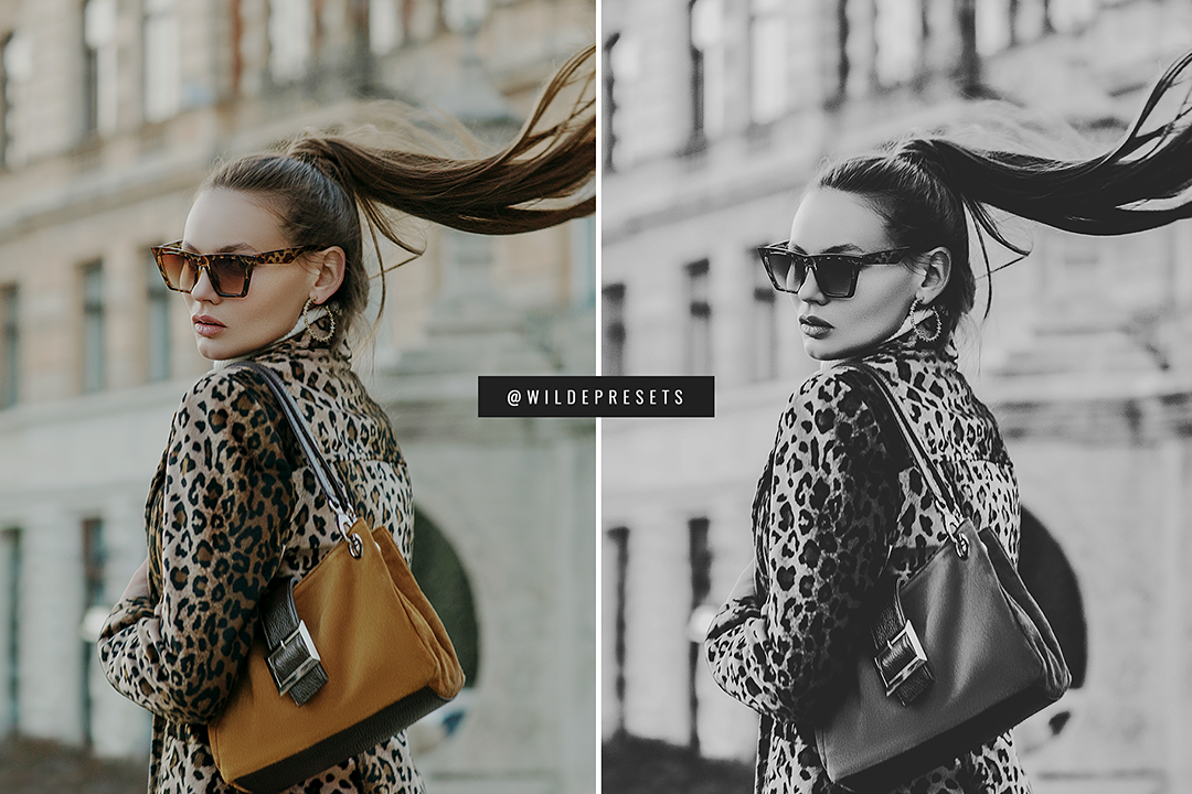 The Dreamy BW Preset Collection