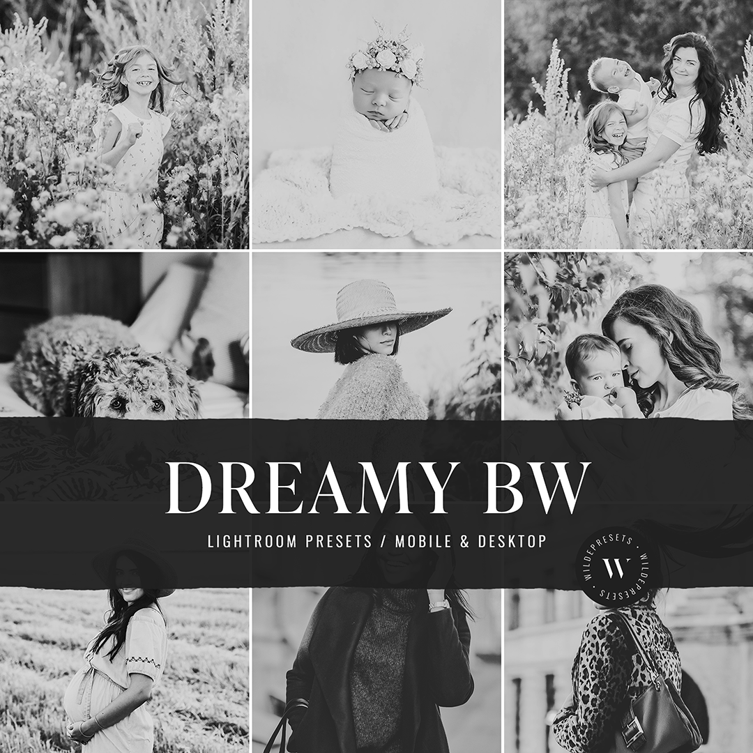 The Dreamy BW Preset Collection