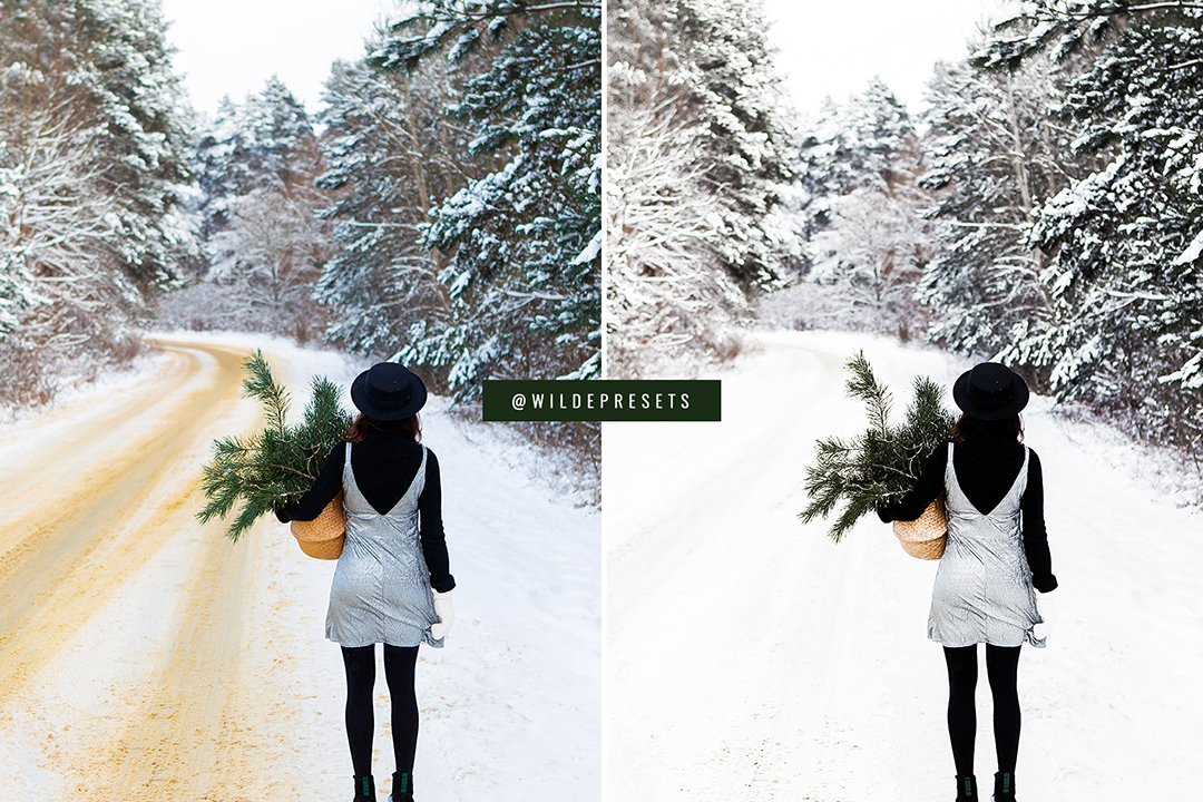 The Evergreen Dream Preset Collection