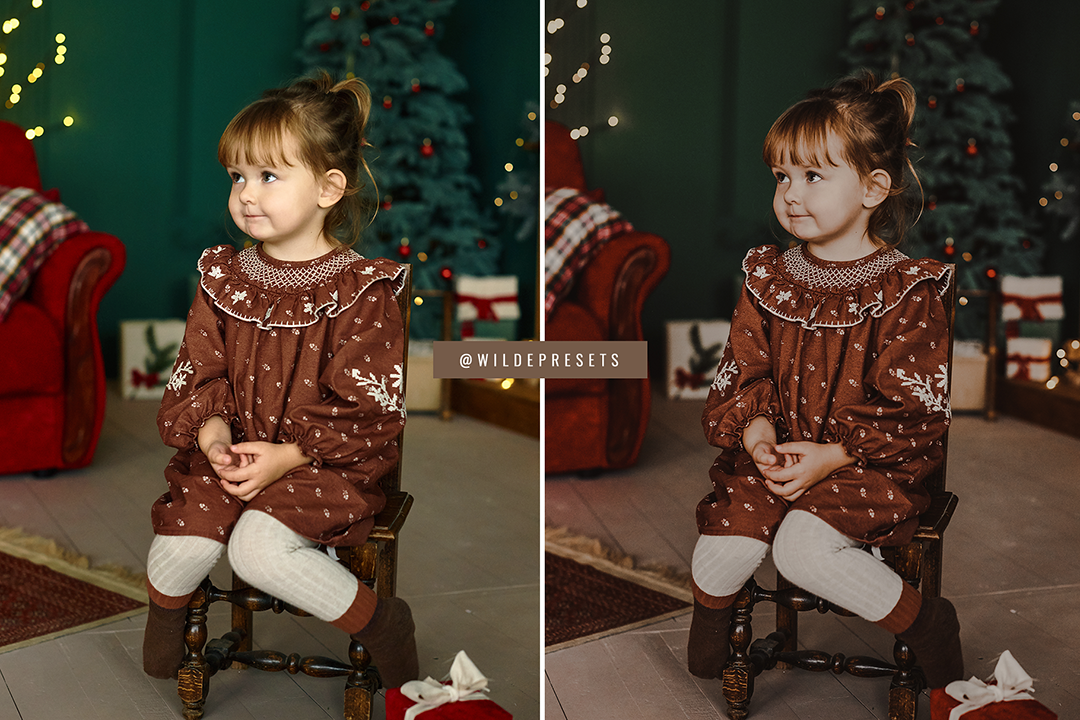 The Gingerbread Preset Collection