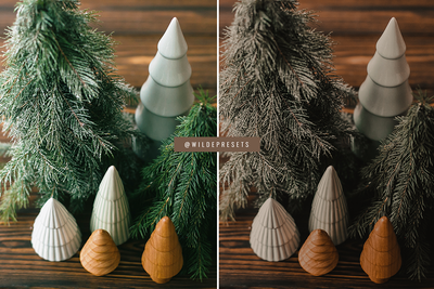 The Gingerbread Preset Collection