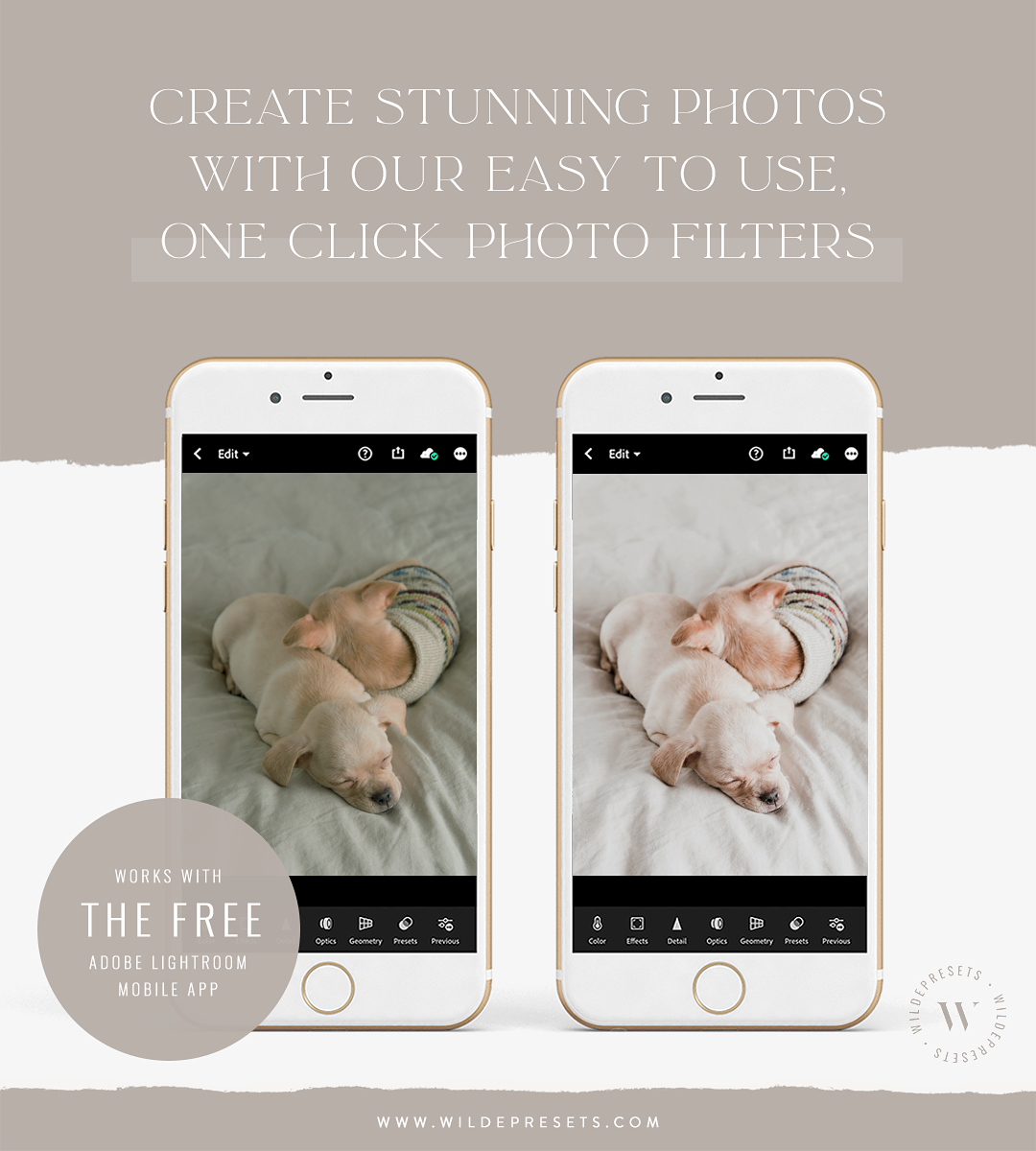 The Lifestyle Pet Preset Collection
