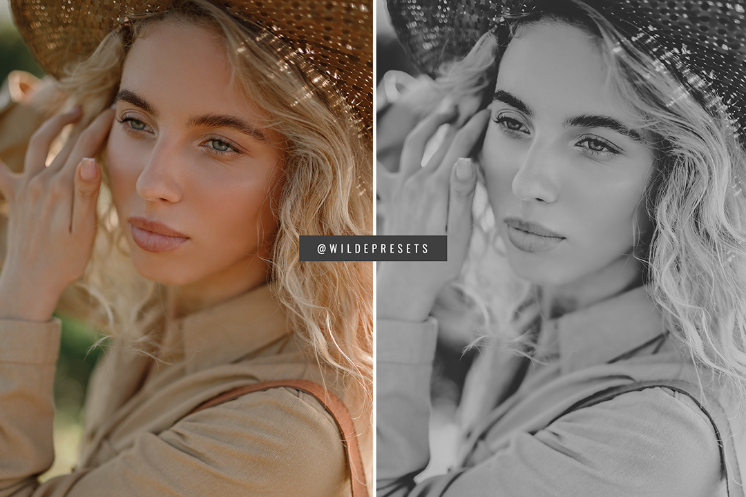 The Matte BW Preset Collection
