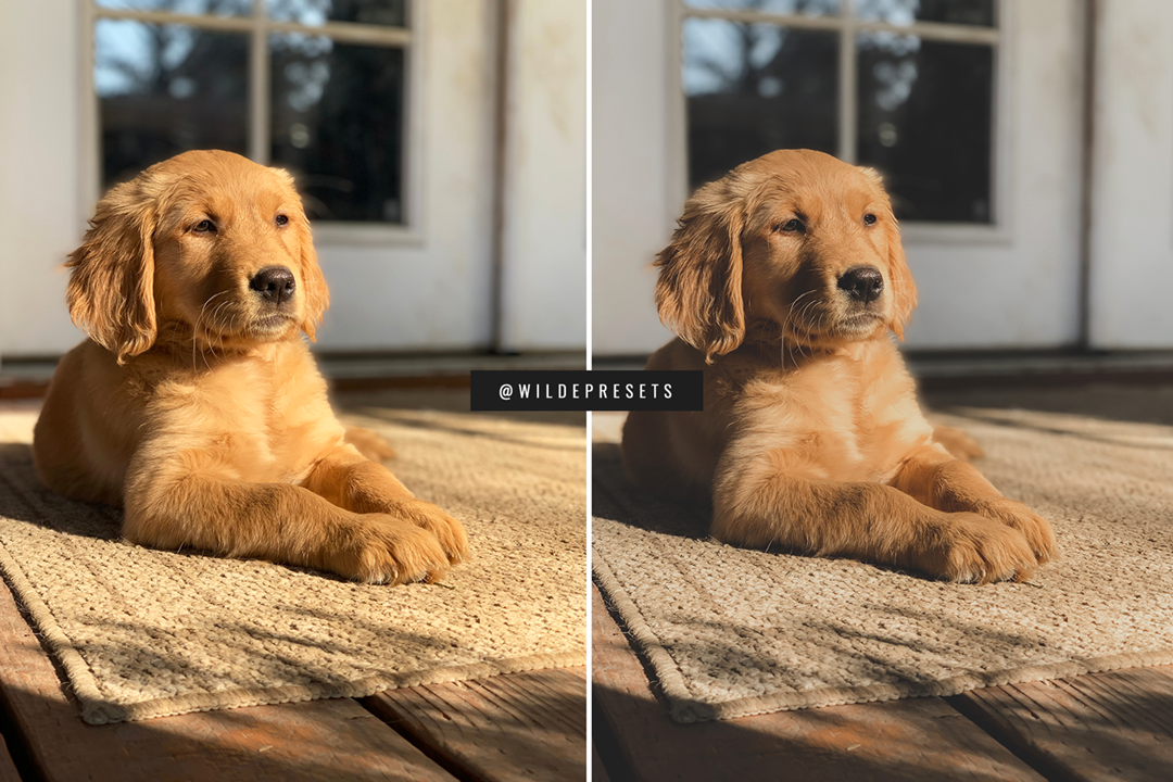 The Matte Dream Preset Collection