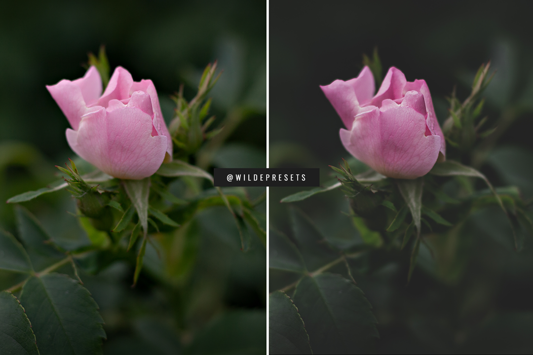 The Matte Dream Preset Collection