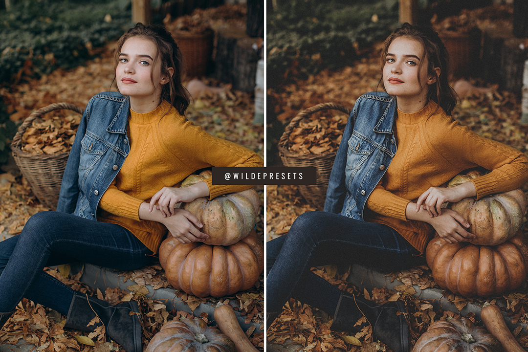 The Matte Film Preset Collection