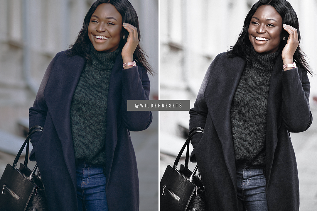 The Minimal Gray Preset Collection