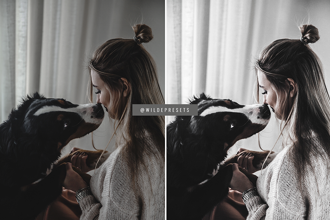 The Minimal Gray Preset Collection