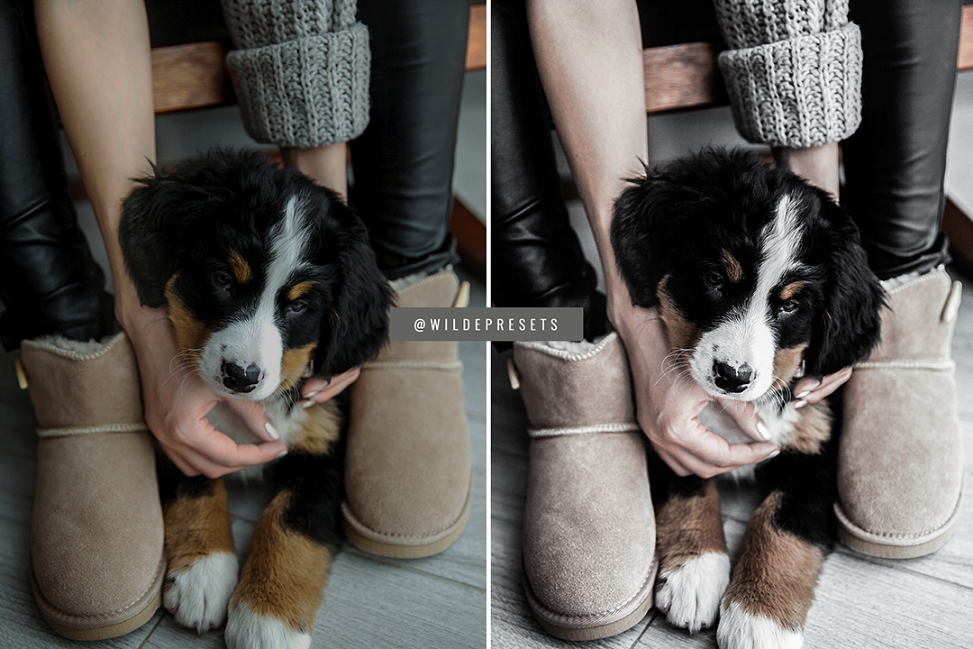 The Minimal Gray Preset Collection