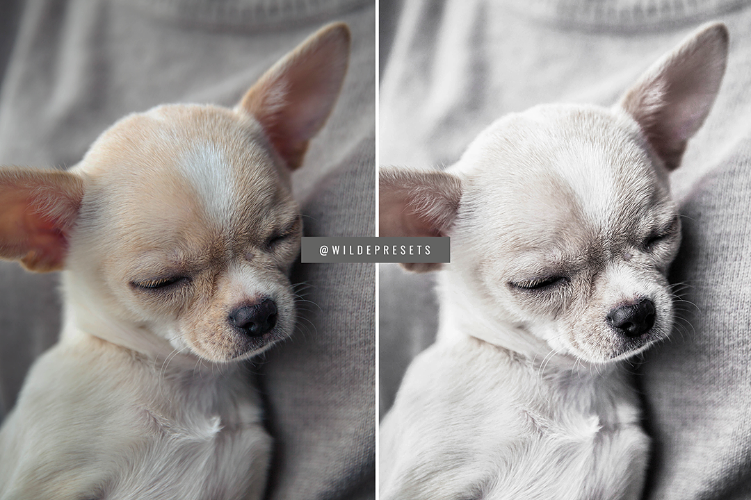 The Minimal Gray Preset Collection