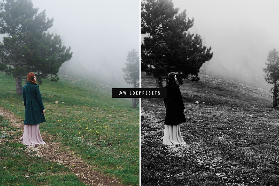 The Moody BW Preset Collection