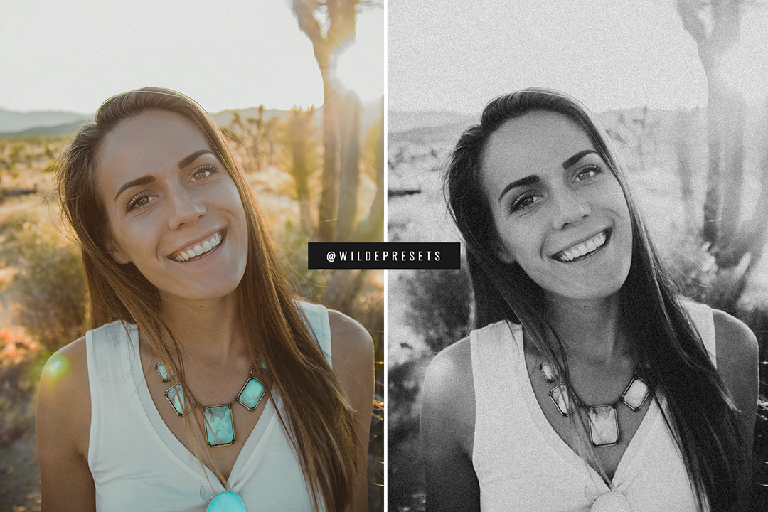 The Moody Film BW Preset Collection