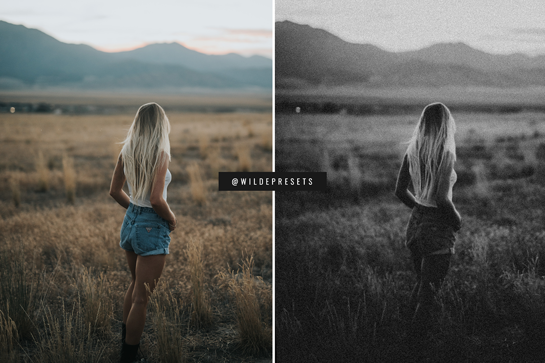 The Moody Film BW Preset Collection