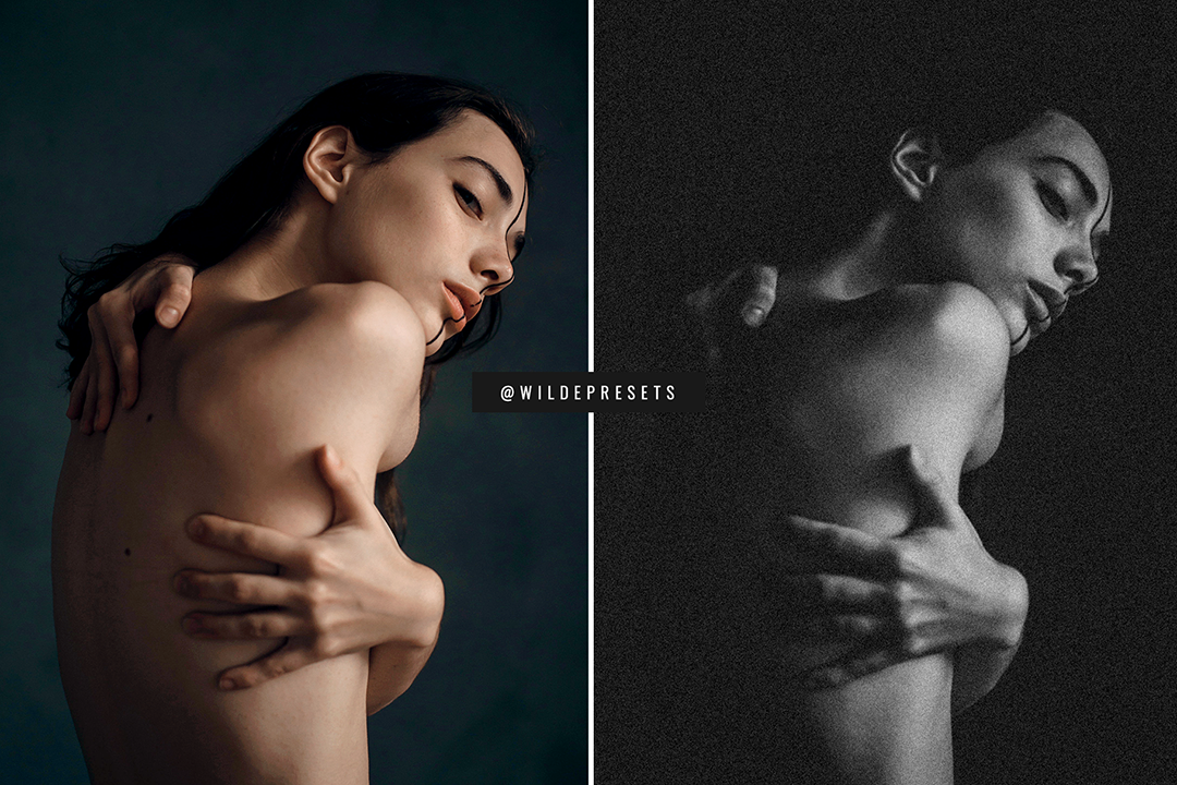 The Moody Film BW Preset Collection