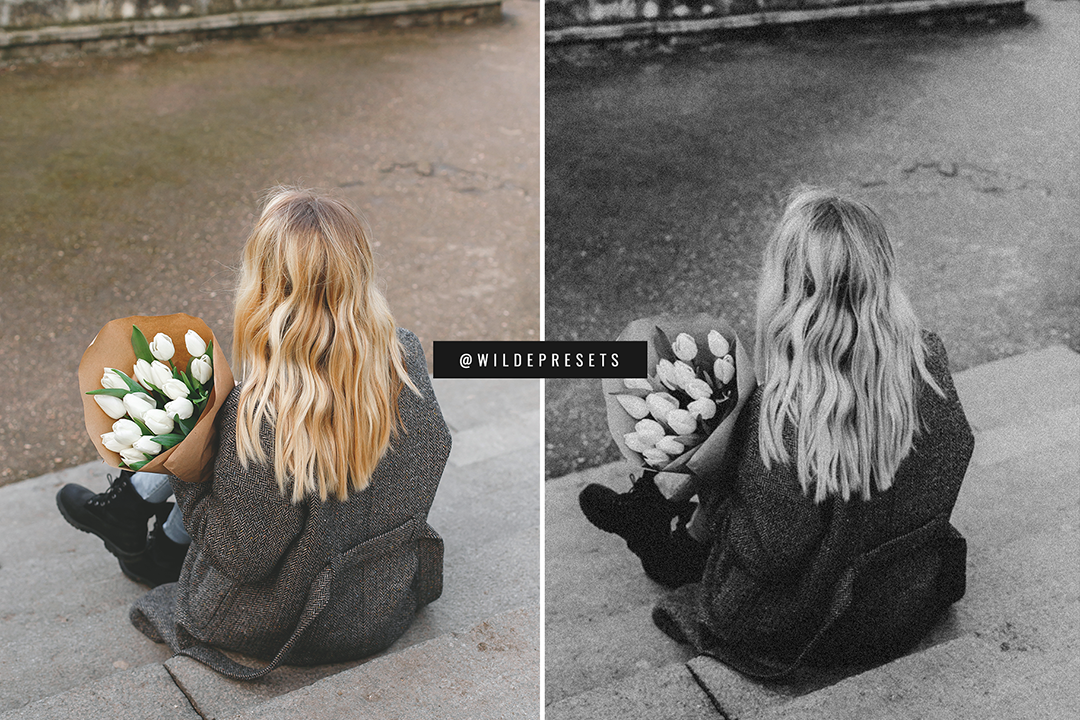 The Moody Film BW Preset Collection