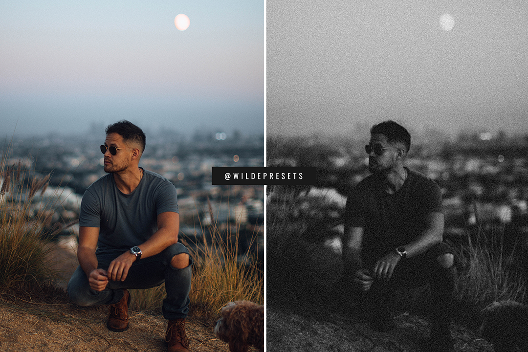 The Moody Film BW Preset Collection