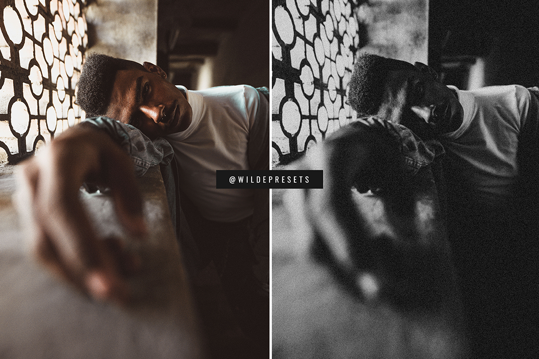 The Moody Film BW Preset Collection