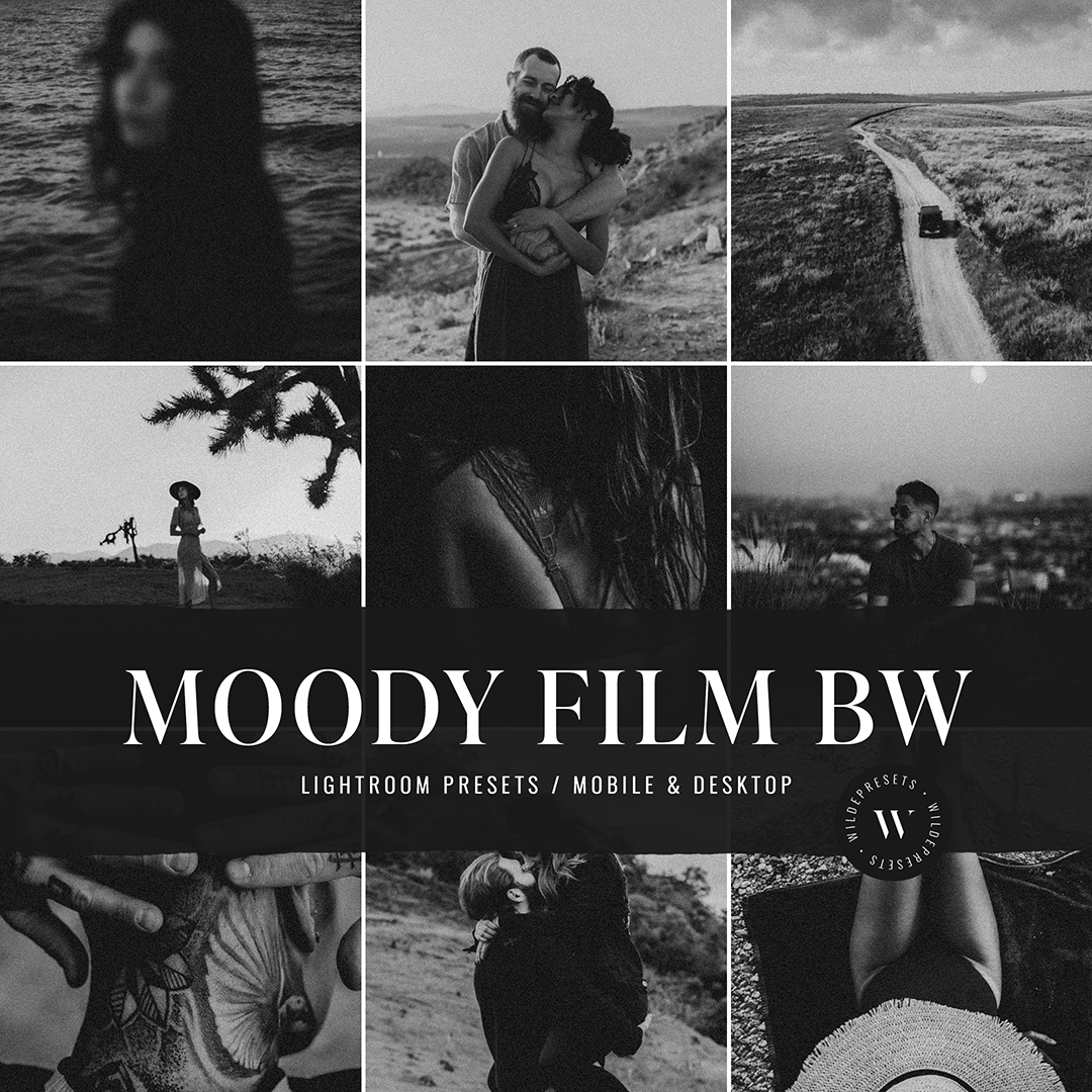 The Moody Film BW Preset Collection