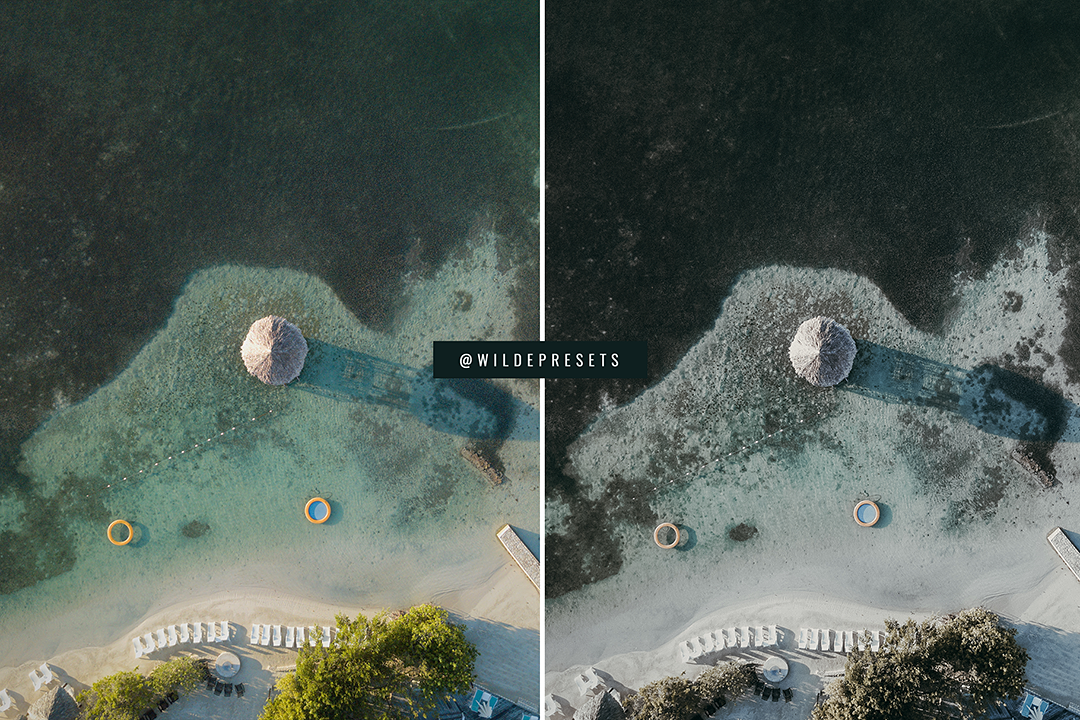 The Moody Tropical Preset Collection