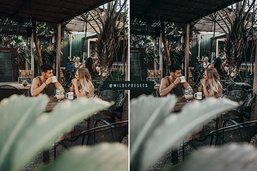 The Moody Tropical Preset Collection