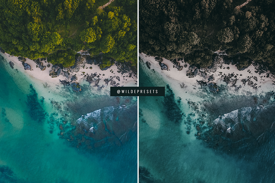 The Moody Tropical Preset Collection