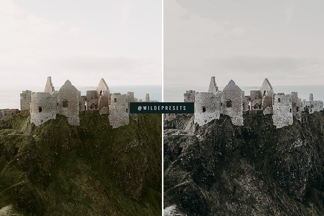 The Moody Tropical Preset Collection