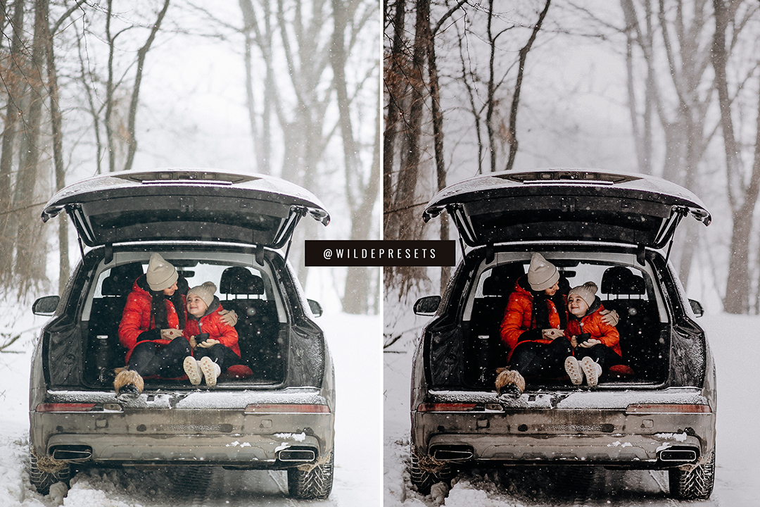 The Moody Winter Preset Collection