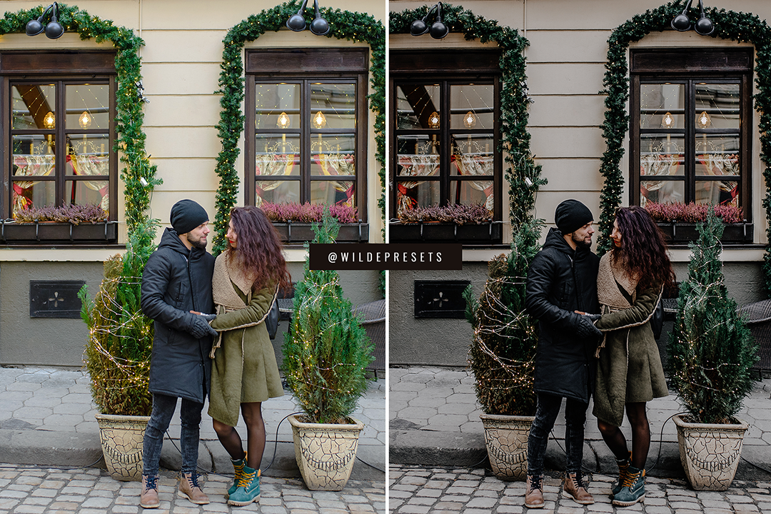 The Moody Winter Preset Collection