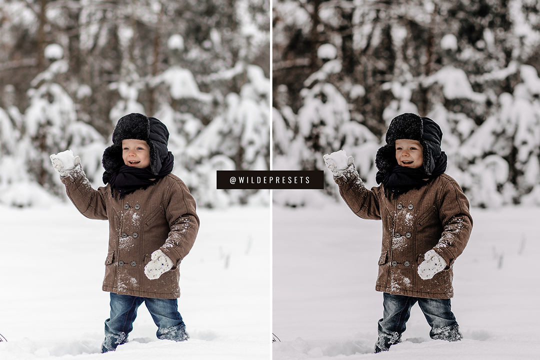 The Moody Winter Preset Collection