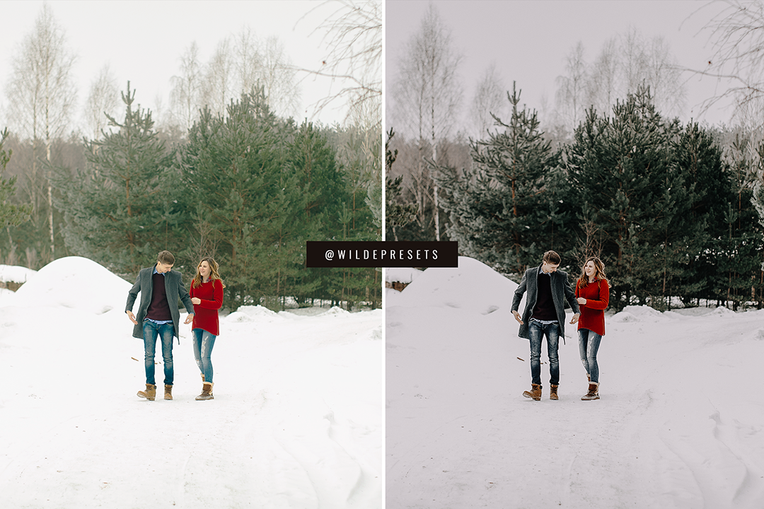 The Moody Winter Preset Collection