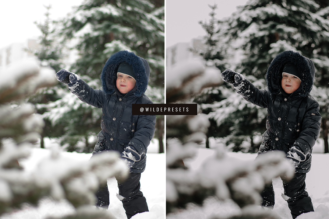 The Moody Winter Preset Collection