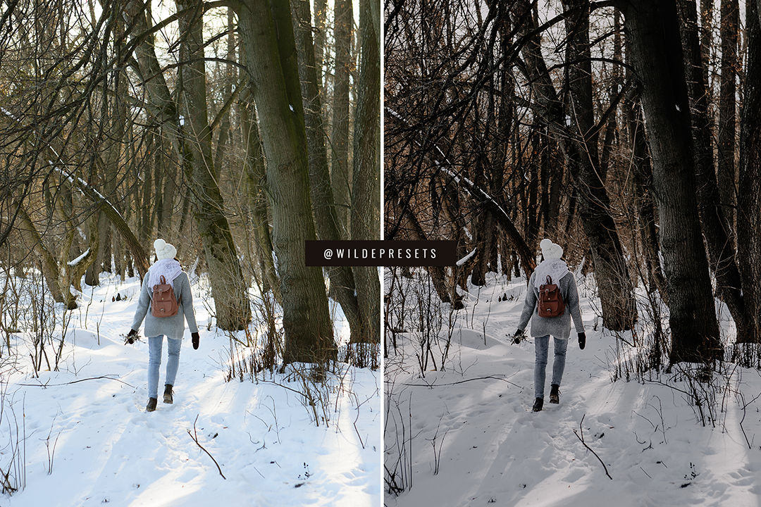 The Moody Winter Preset Collection