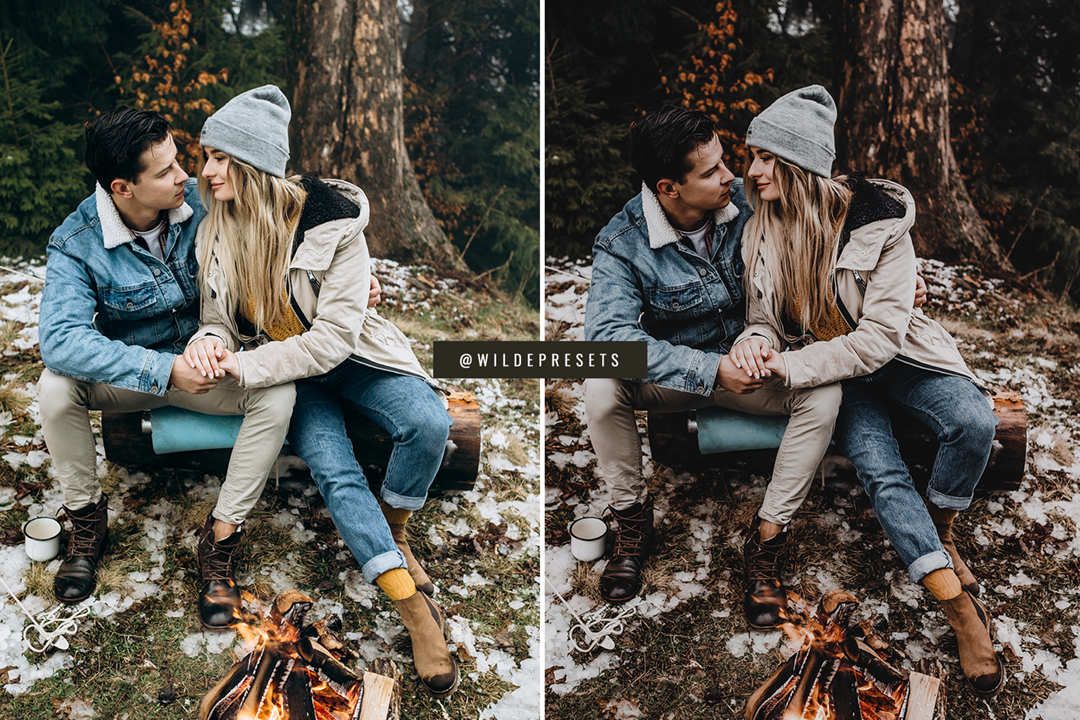 The Moody Woodlands Preset Collection