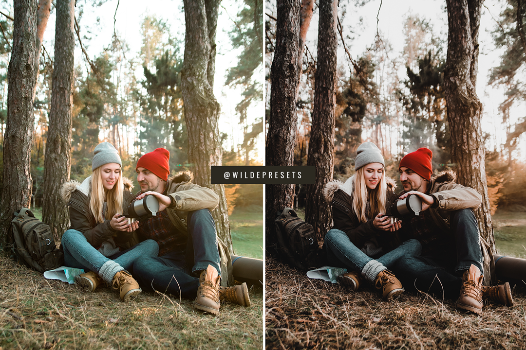 The Moody Woodlands Preset Collection